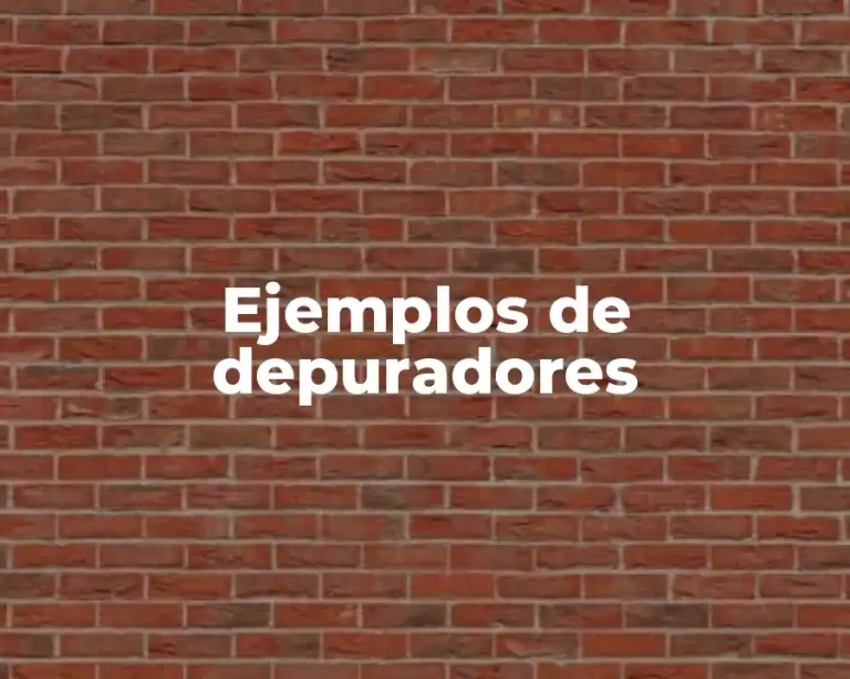 Ejemplos de depuradores