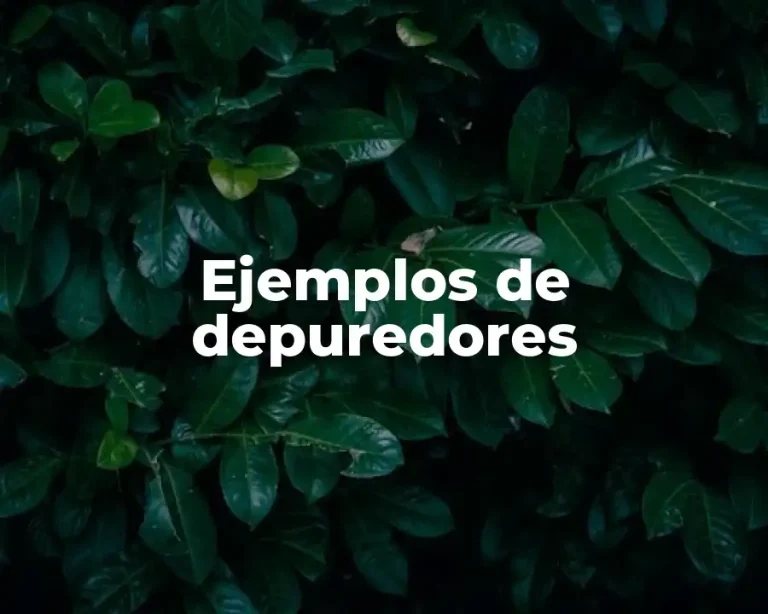 Ejemplos de depuredores