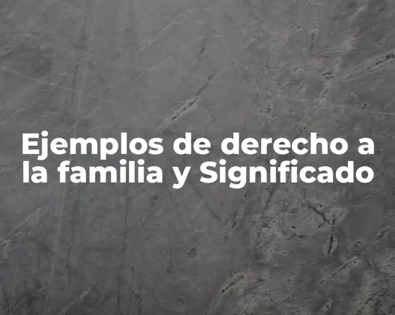 Ejemplos de derecho a la familia y Significado