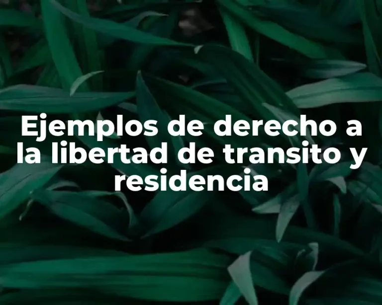 Ejemplos de derecho a la libertad de transito y residencia