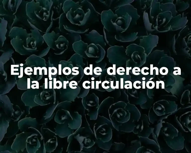 Ejemplos de derecho a la libre circulación