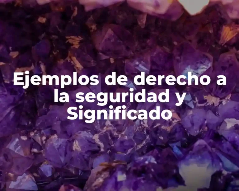 Ejemplos de derecho a la seguridad y Significado