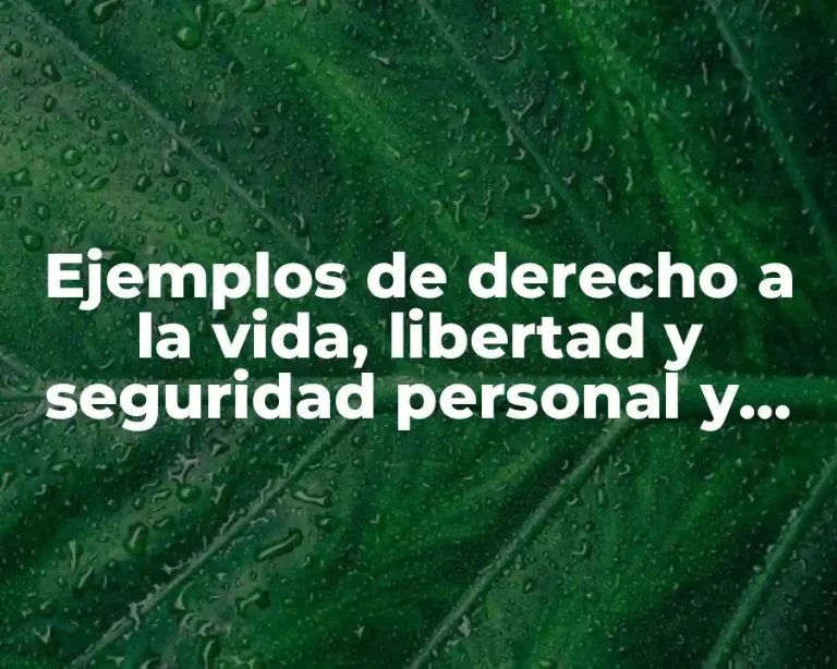 Ejemplos de derecho a la vida, libertad y seguridad personal y Significado