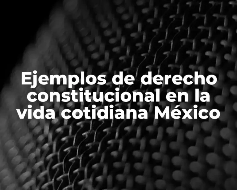 Ejemplos de derecho constitucional en la vida cotidiana México