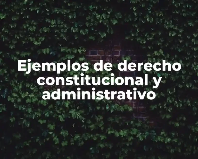 Ejemplos de derecho constitucional y administrativo