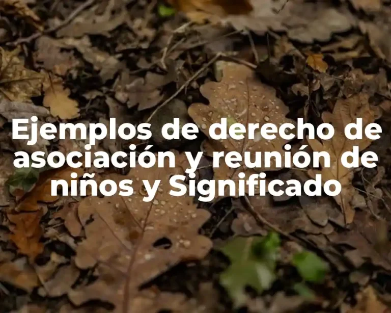 Ejemplos de derecho de asociación y reunión de niños y Significado