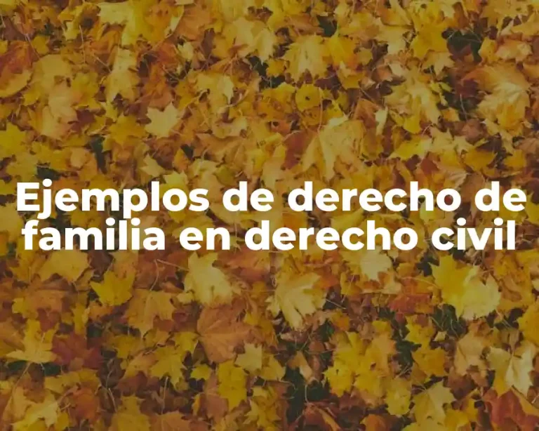 Ejemplos de derecho de familia en derecho civil