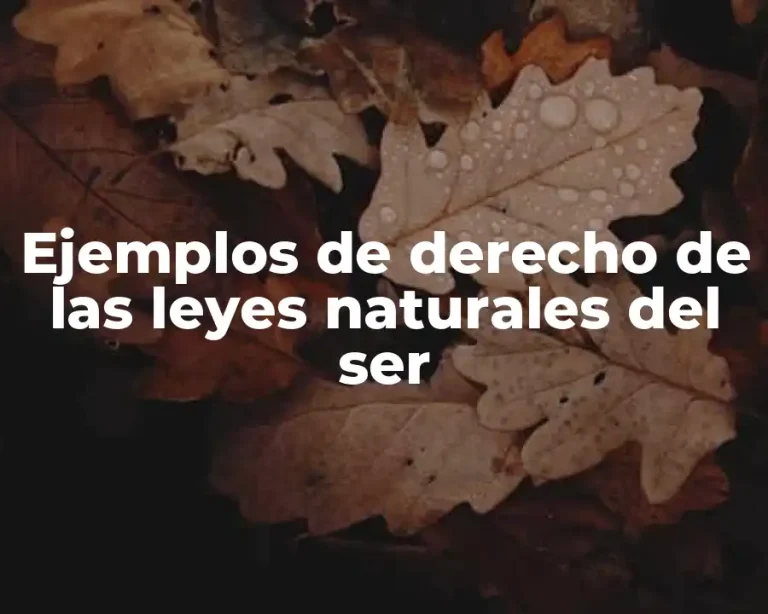 Ejemplos de derecho de las leyes naturales del ser