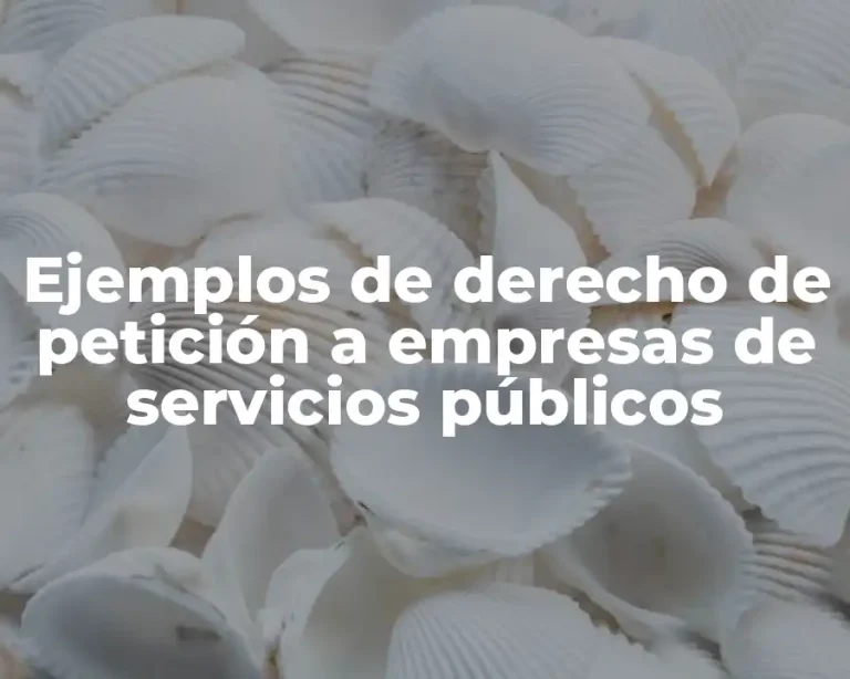 Ejemplos de derecho de petición a empresas de servicios públicos