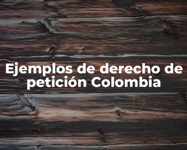 Ejemplos de derecho de petición Colombia
