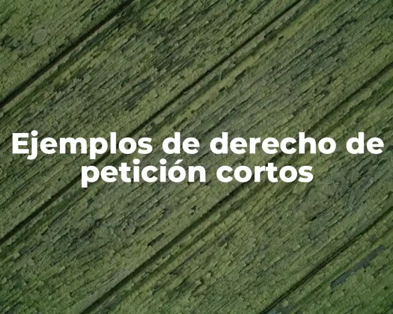 Ejemplos de derecho de petición cortos