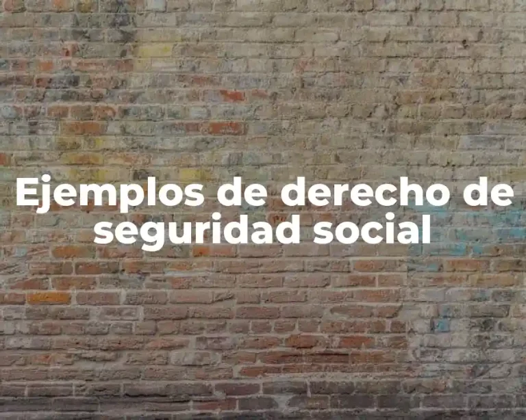 Ejemplos de derecho de seguridad social