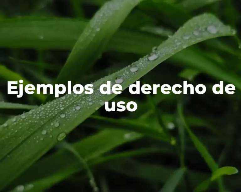 Ejemplos de derecho de uso