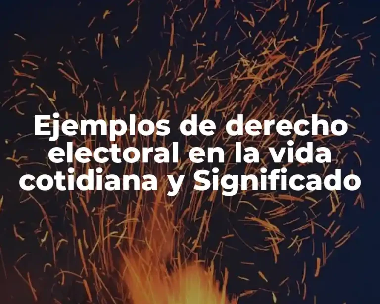Ejemplos de derecho electoral en la vida cotidiana y Significado