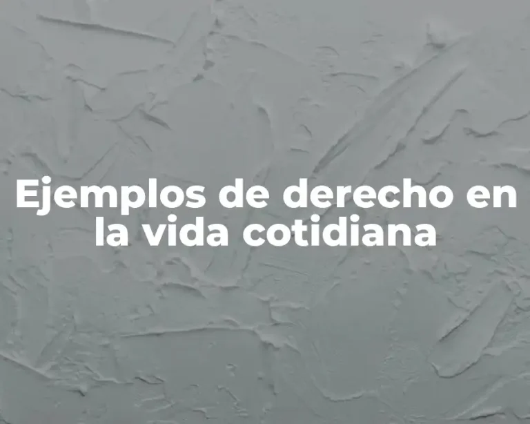 Ejemplos de derecho en la vida cotidiana