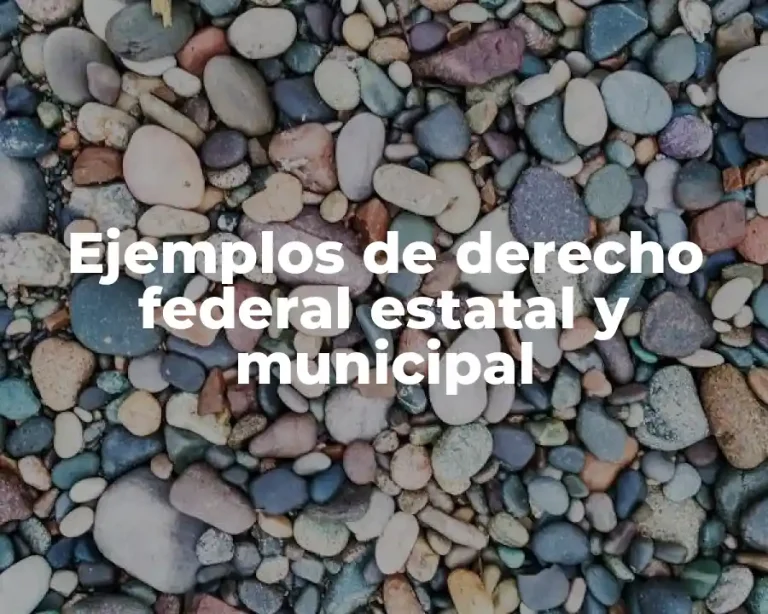 Ejemplos de derecho federal estatal y municipal