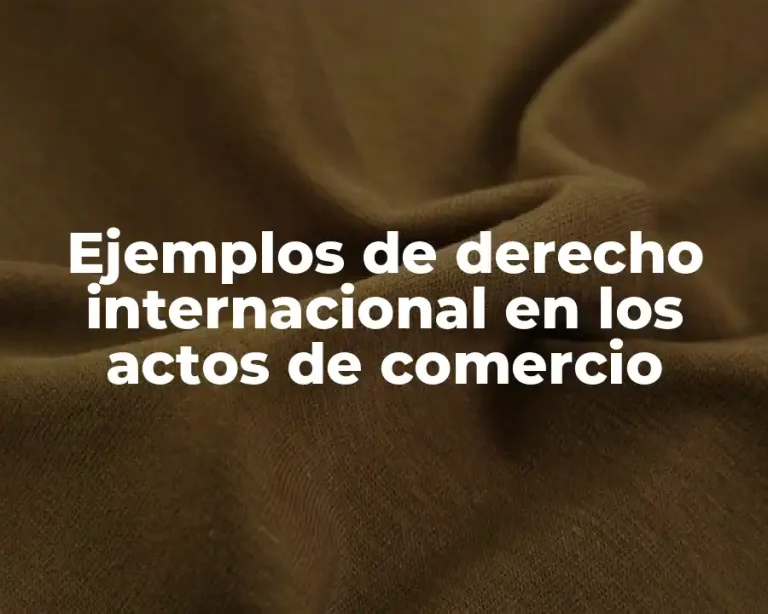 Ejemplos de derecho internacional en los actos de comercio