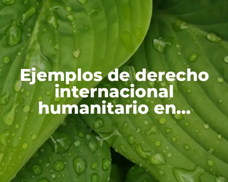 Ejemplos de derecho internacional humanitario en Colombia y Significado