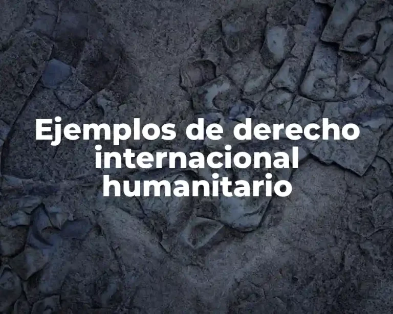 Ejemplos de derecho internacional humanitario