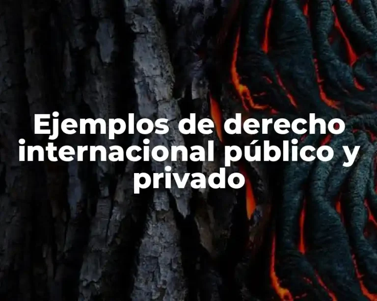 Ejemplos de derecho internacional público y privado