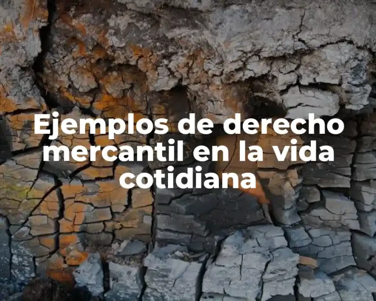 Ejemplos de derecho mercantil en la vida cotidiana