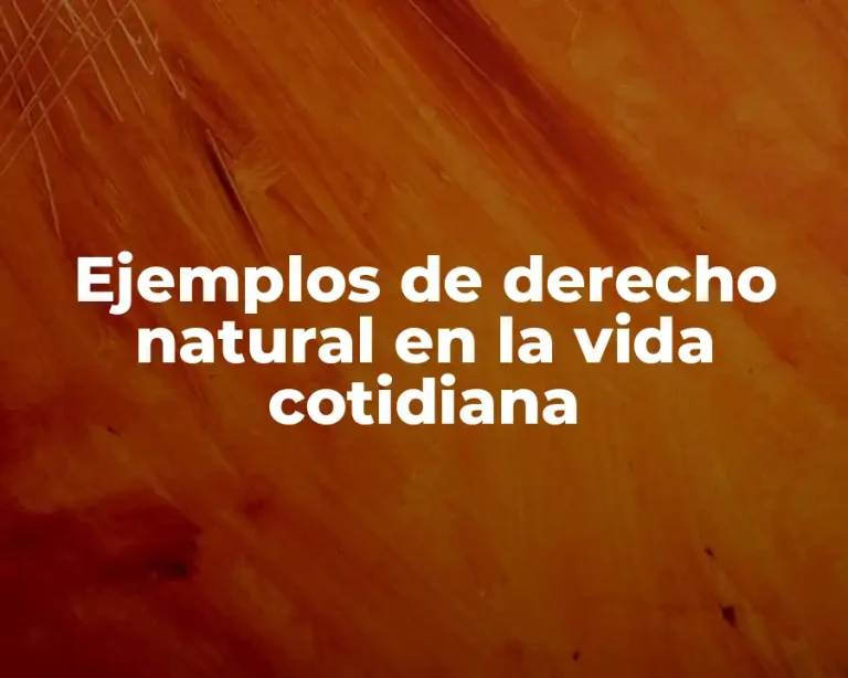 Ejemplos de derecho natural en la vida cotidiana