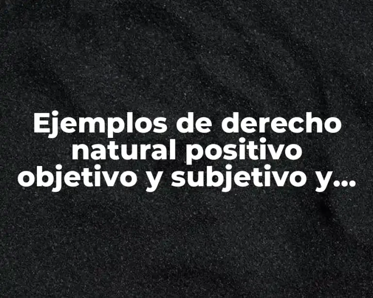 Ejemplos de derecho natural positivo objetivo y subjetivo y Significado