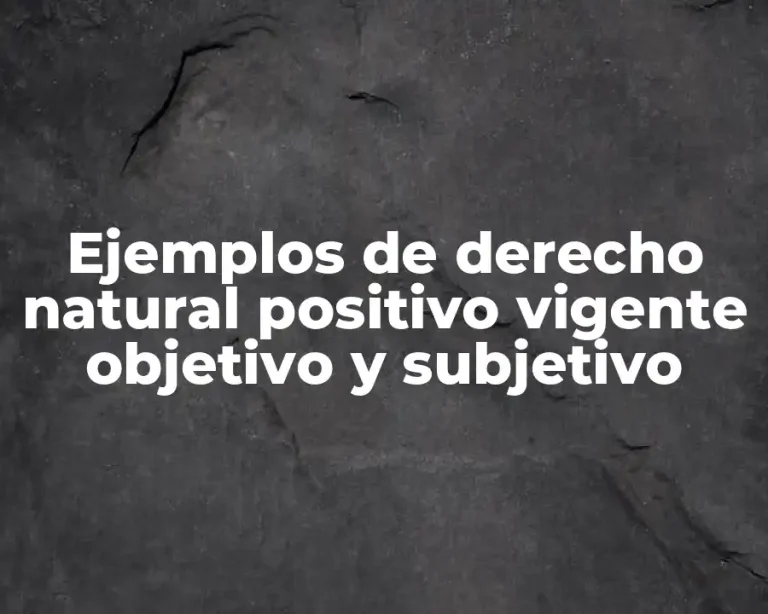 Ejemplos de derecho natural positivo vigente objetivo y subjetivo
