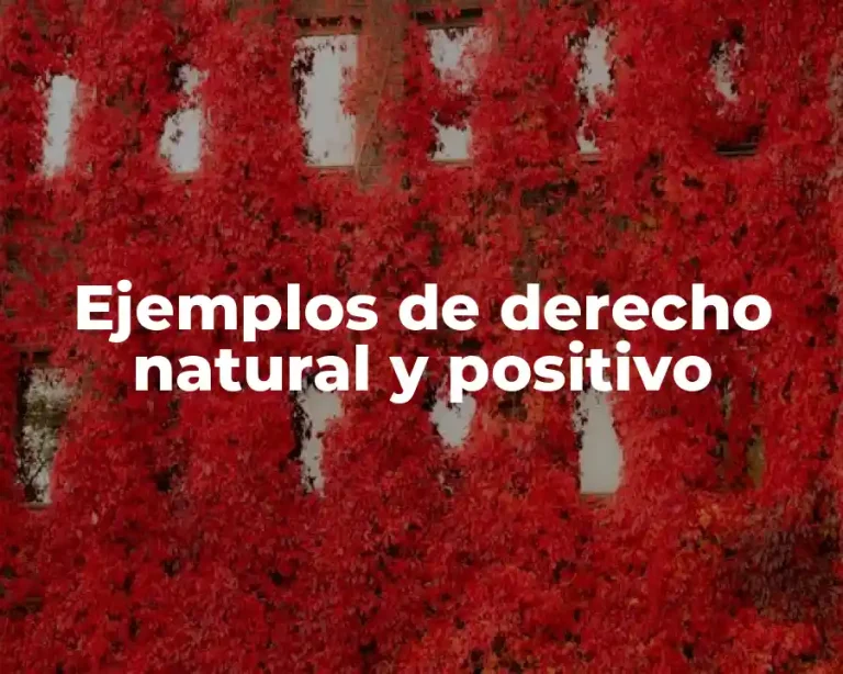 Ejemplos de derecho natural y positivo