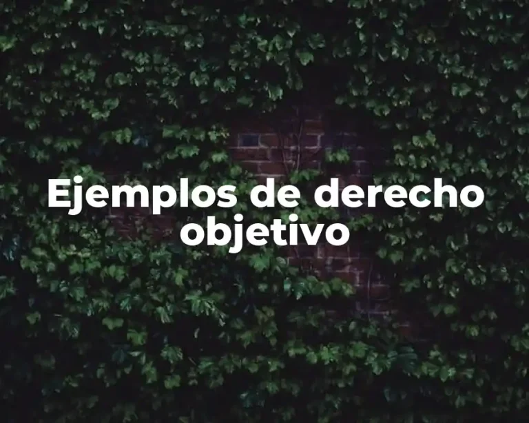 Ejemplos de derecho objetivo