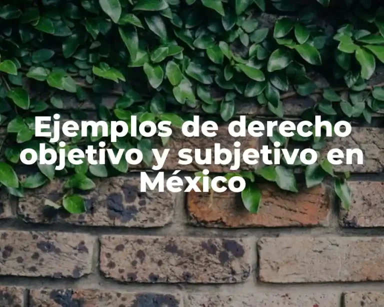 Ejemplos de derecho objetivo y subjetivo en México