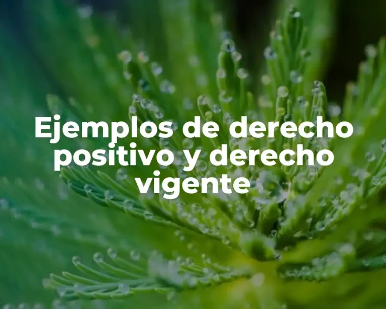 Ejemplos de derecho positivo y derecho vigente