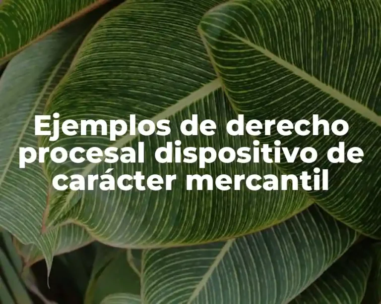 Ejemplos de derecho procesal dispositivo de carácter mercantil