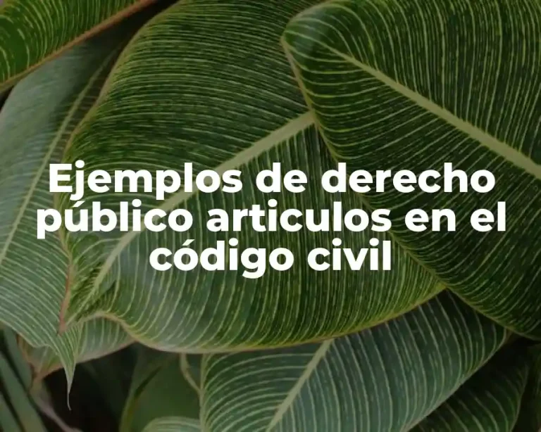 Ejemplos de derecho público articulos en el código civil