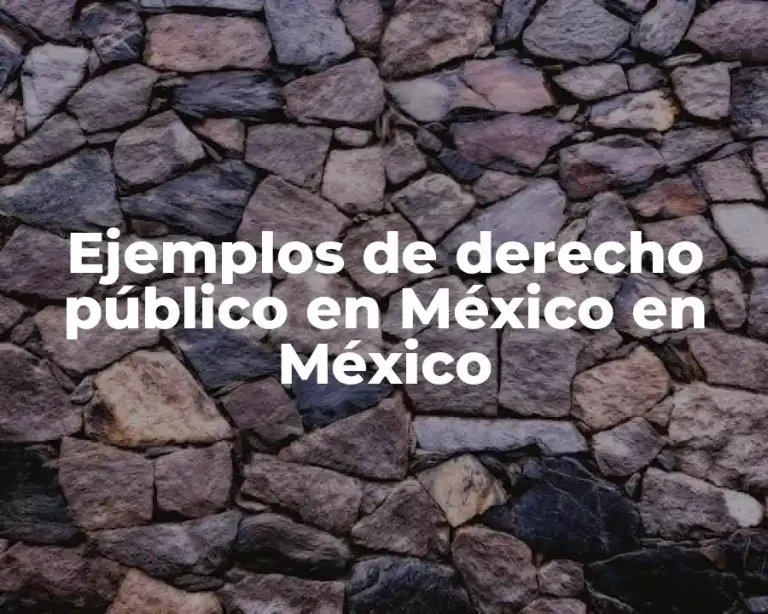 Ejemplos de derecho público en México en México