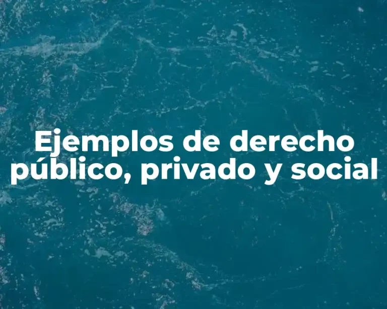 Ejemplos de derecho público, privado y social