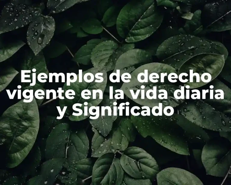 Ejemplos de derecho vigente en la vida diaria y Significado