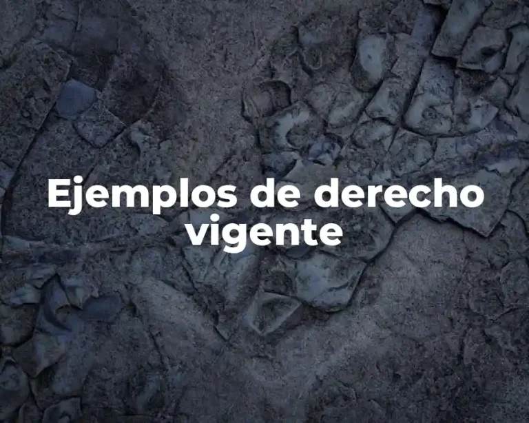 Ejemplos de derecho vigente