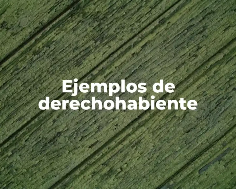 Ejemplos de derechohabiente