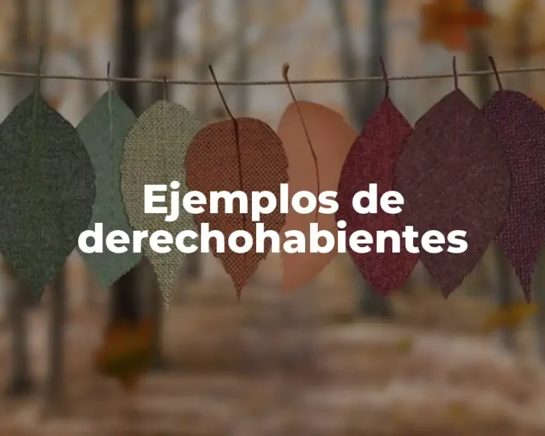 Ejemplos de derechohabientes