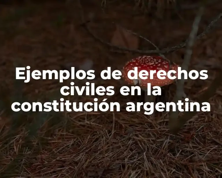 Ejemplos de derechos civiles en la constitución argentina