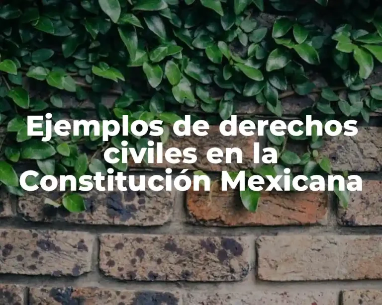 Ejemplos de derechos civiles en la Constitución Mexicana