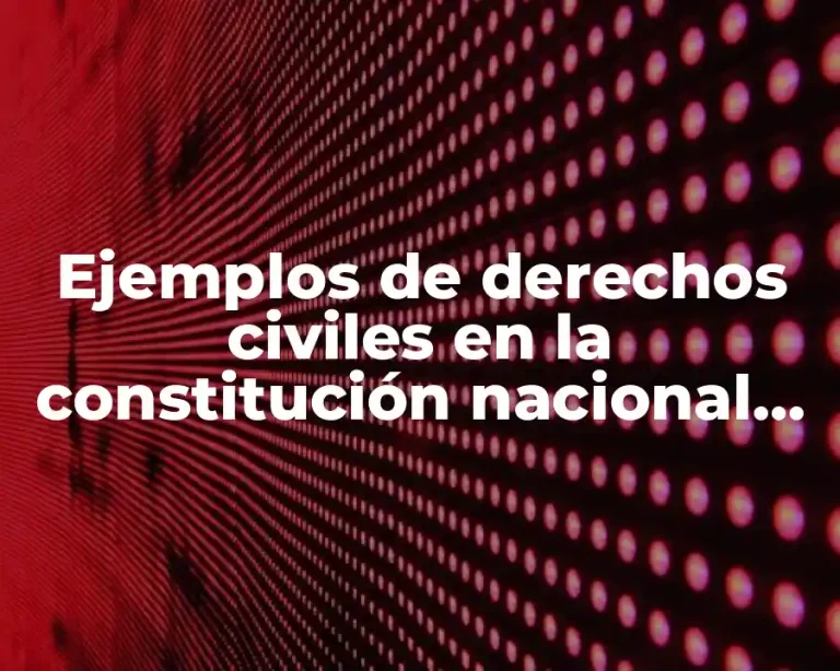 Ejemplos de derechos civiles en la constitución nacional argentina