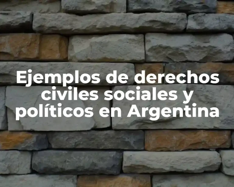 Ejemplos de derechos civiles sociales y políticos en Argentina