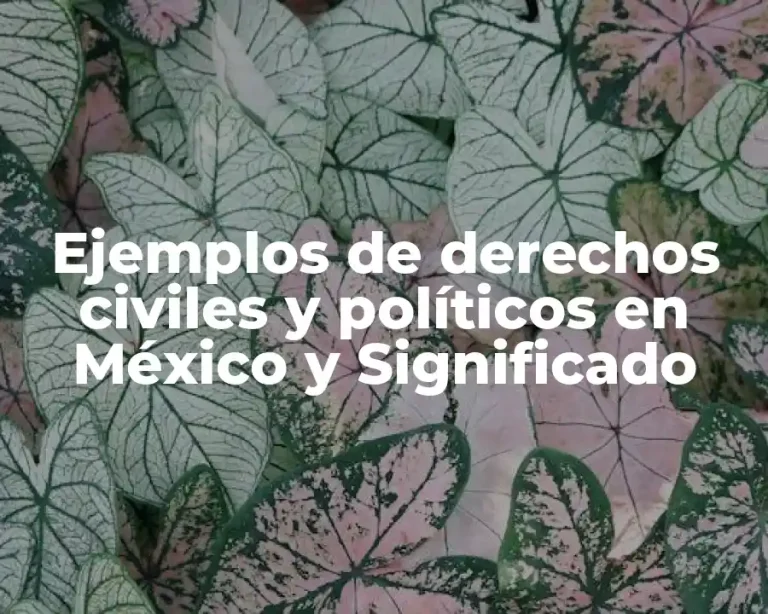 Ejemplos de derechos civiles y políticos en México y Significado