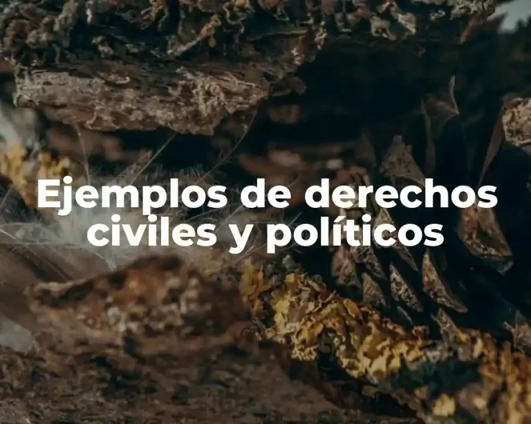 Ejemplos de derechos civiles y políticos