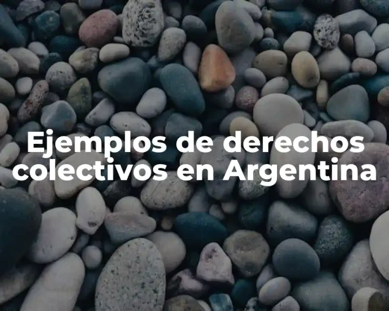 Ejemplos de derechos colectivos en Argentina