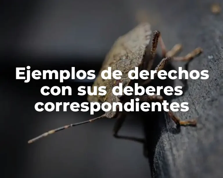 Ejemplos de derechos con sus deberes correspondientes