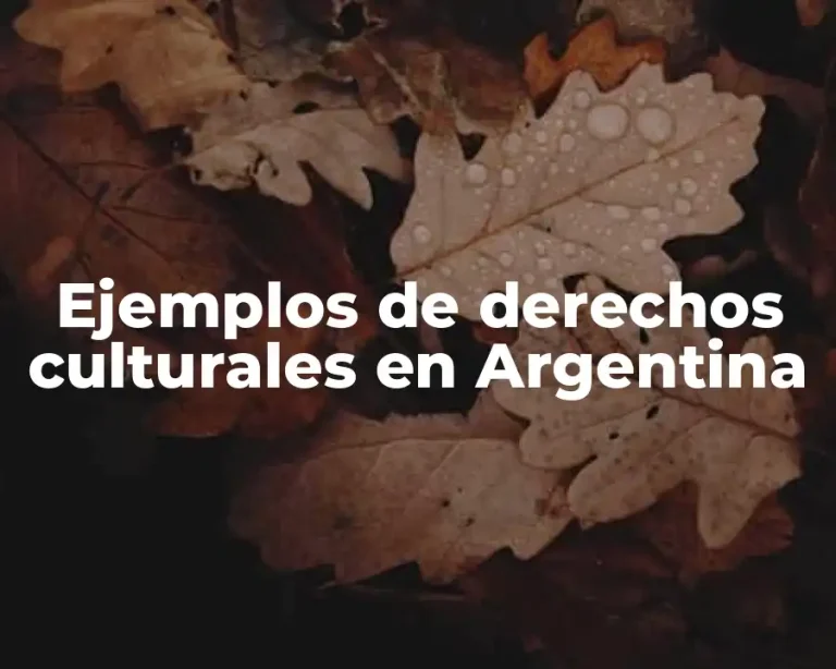 Ejemplos de derechos culturales en Argentina