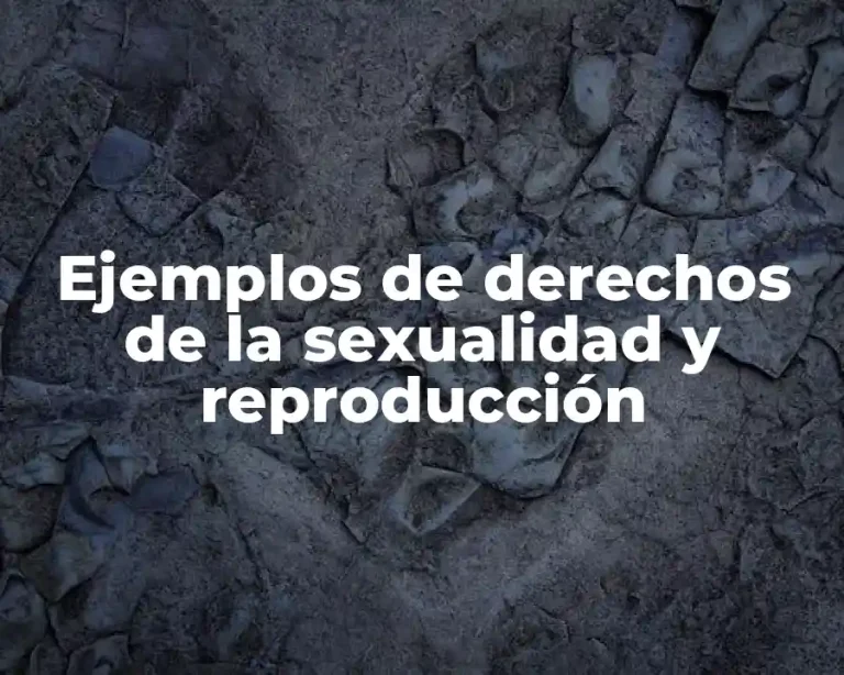 Ejemplos de derechos de la sexualidad y reproducción